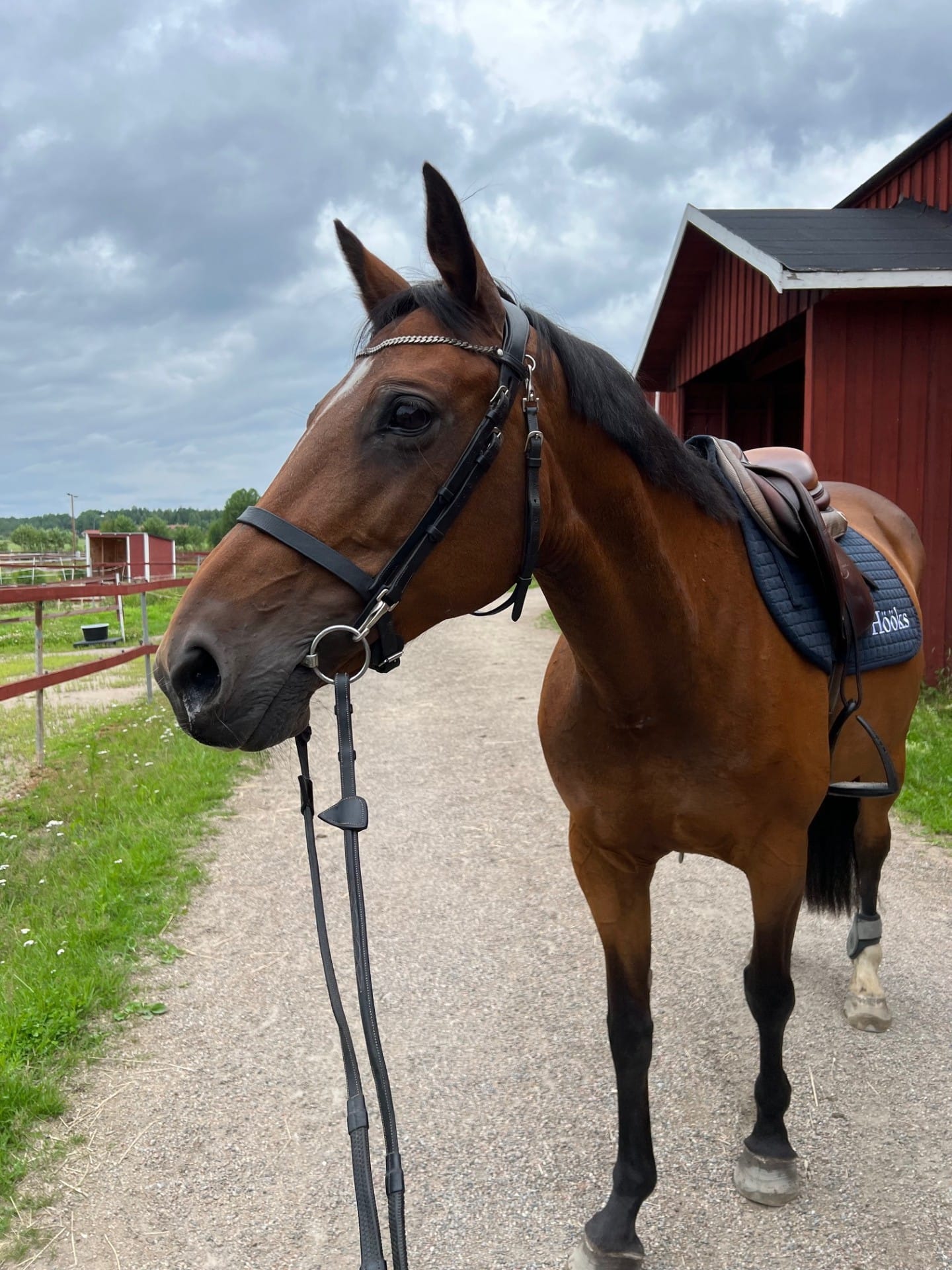 En Röd Tråd "Tråden"